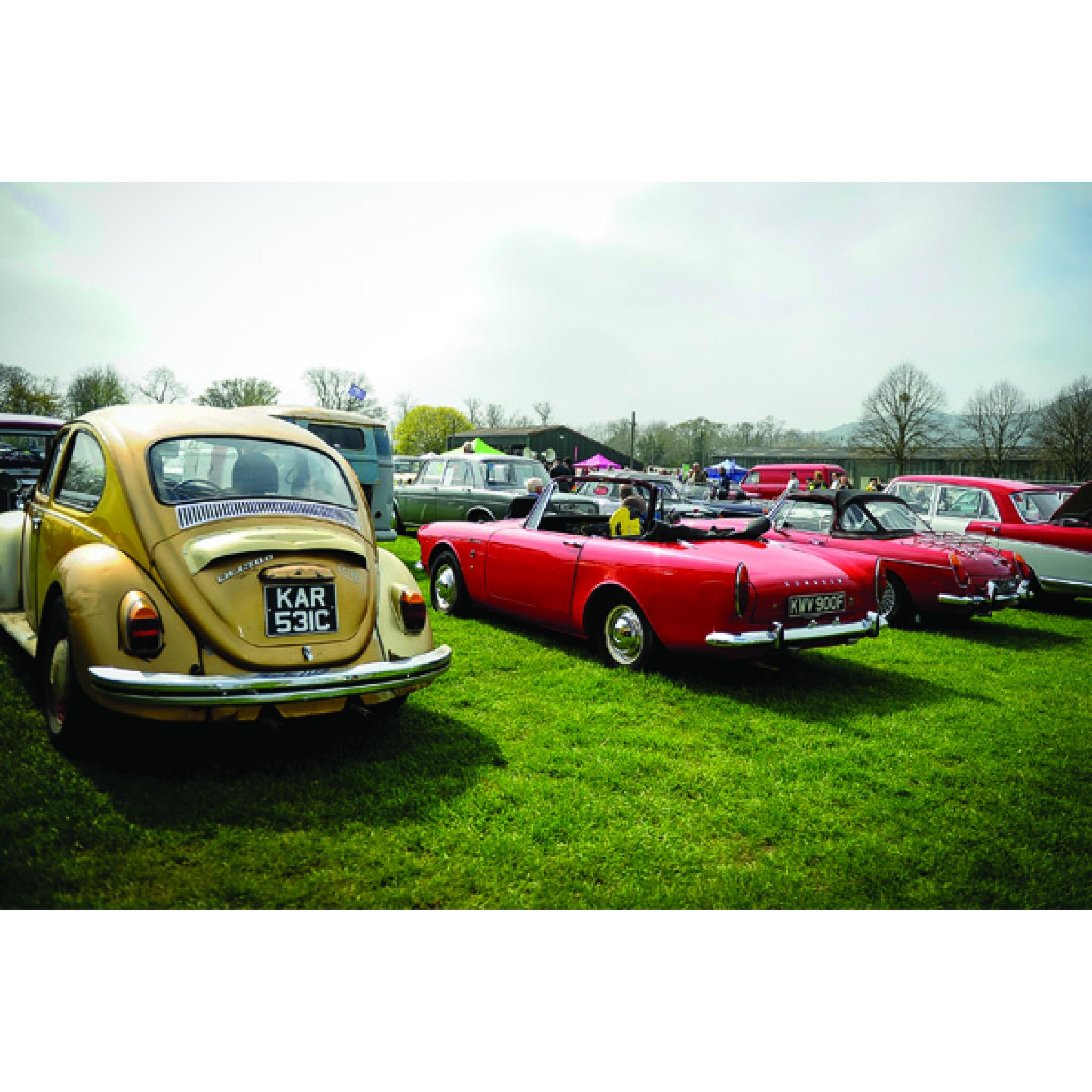 Antique Car Shows Near Me This Weekend Sea Cruise Outdoor Museum Car